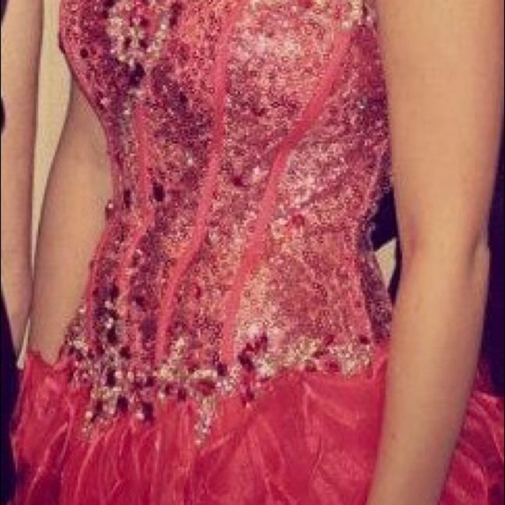 Beautiful Dress! - Picture 3 of 3